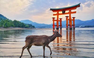  Kyoto to Hiroshima: A Cultural Odyssey