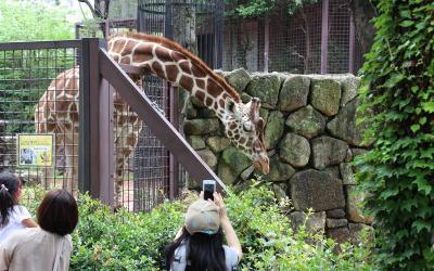 Ueno Zoo