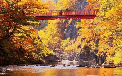 Hokkaido Onsen & Autumn Leaves
