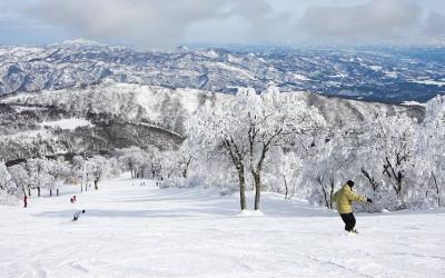 Niseko Ski （Ski lift tickets and ski equipment are not included）