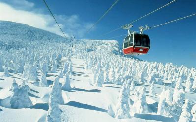 Zao's frost-covered trees (Yamagata Prefecture)