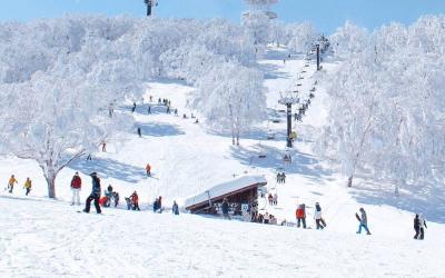 Japan Winter Ski Tour: Tokyo, Kyoto & Nozawa Onsen