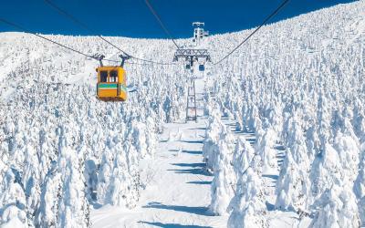 Frost & Onsen: The Tohoku Winter Trail