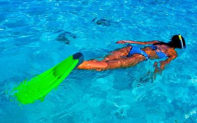 go snorkeling