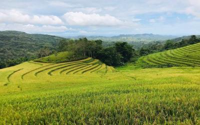 Candapdapan Rice Terraces