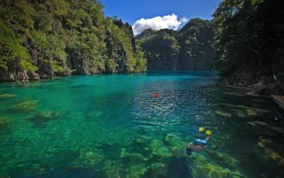 Two Seasons Coron Island Resort snorkeling