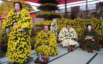  Japan Chrysanthemum Exhibition