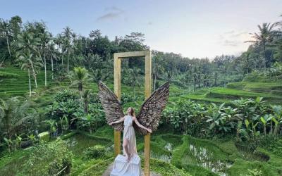 U Fun Field:4 swings+7 photo booths+Tracking through the rice terrace