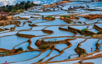 Aichun Blue Terraces