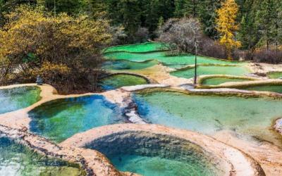 Welcoming Guest Ponds