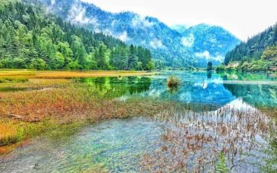 Arrow Bamboo Lake