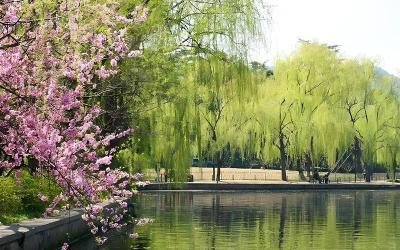 Spring Dawn at Su Causeway