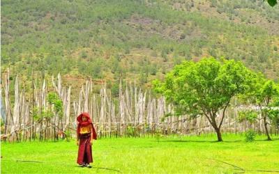 A walk through the Sopsokha village