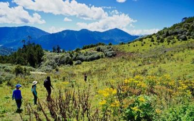Gangtey Nature Trail