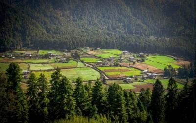 Swiss Farm of Ura village