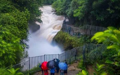 Davis Falls