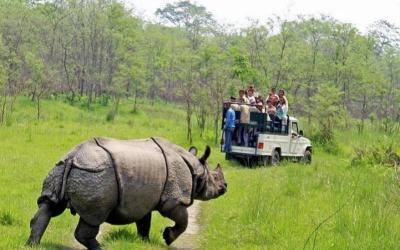 Chitwan National Park