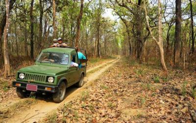 Chitwan Jungle Safari by Jeep