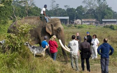 Visit Local Village Cultural
