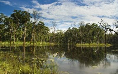 Koshi Barrage Wetland Exploration