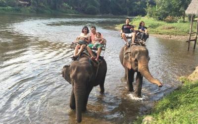 Elephant Back Safari