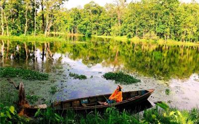 Chitwan National Park Ecosystem:Riverine Jungle