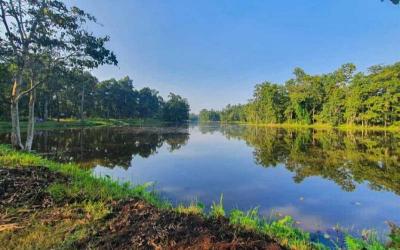 Chitwan National Park Ecosystem:Sal Forest