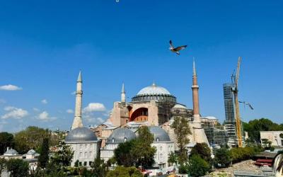 Grand Turkey Explorer