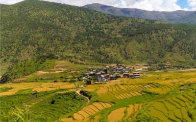 Talo Village
