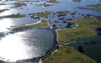 Seasonally Flooded Grasslands