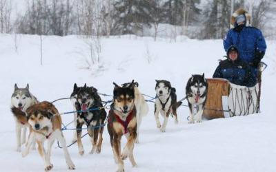 Hulunbuir Fun Grassland Winter Activities:Snow Slide