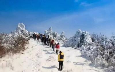 Making Fresh Tracks into the Forested Hinterland