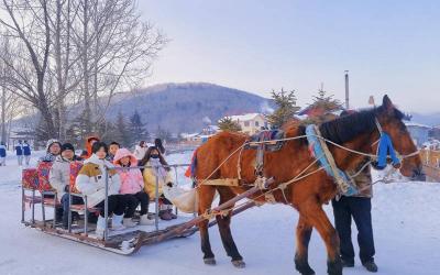 Local Horse-drawn Sledge