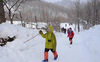 Yangcaoshan Hike(10 km/~3.5h)