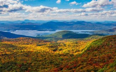 Viewing Area of Sleeping Beauty