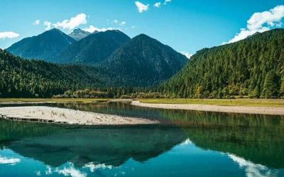 Gongxiang Spruce Forest