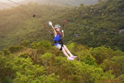 Jungle Zipline