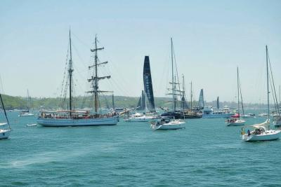 Hobie Sailing Boat Experience 1 hour