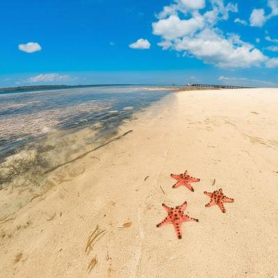 Starfish Island