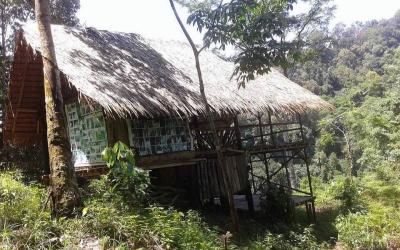 Canopy Layer Birdwatching Spots