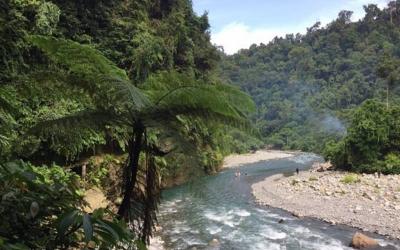 Bohorok River Birdwatching Spots