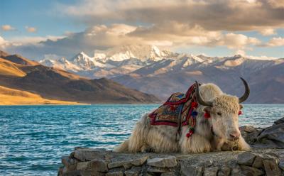 Roof of the World Pilgrimage